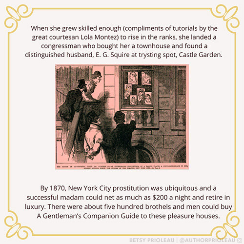 When she grew skilled enough (compliments of tutorials by the great courtesan Lola Montez) to rise in the ranks, she landed a congressman who bought her a townhouse and found a distinguished husband, E. G. Squire at trysting spot, Castle Garden. By 1870, New York City prostitutuion was ubiquitous and a successful madam could net as much as $200 a night and retire in luxury. There were about five hundred brothels and men could buy A Gentleman's Companion Guide to these pleasure houses.